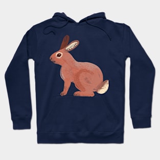 Bunny Rabbit Hoodie